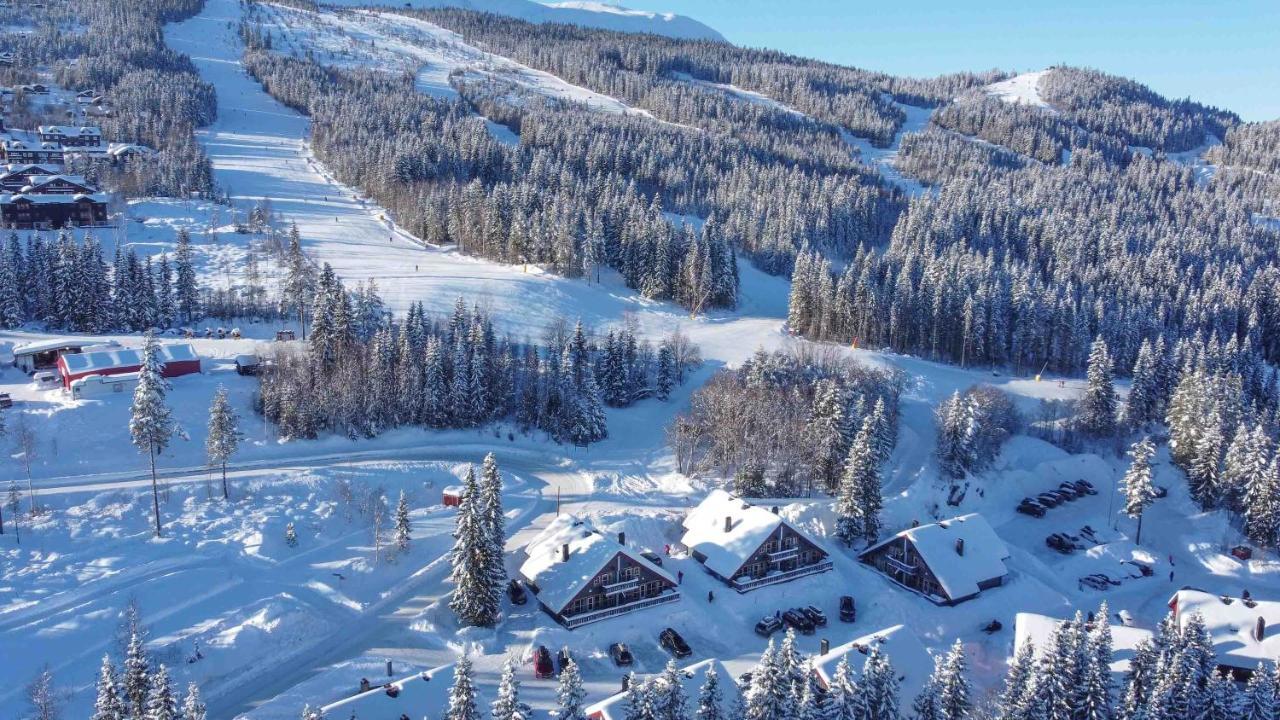 Villa Bakkebyvegen 20A à Trysil Extérieur photo