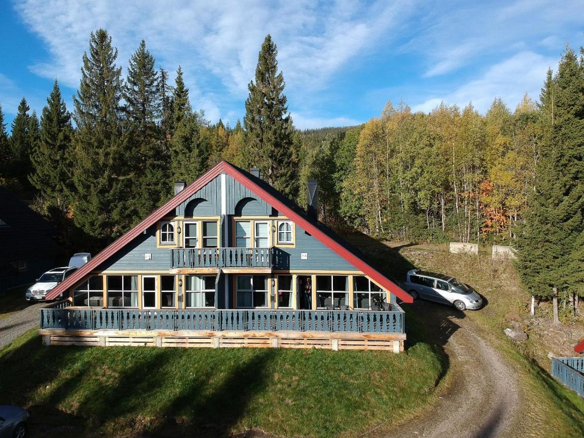 Villa Bakkebyvegen 20A à Trysil Extérieur photo